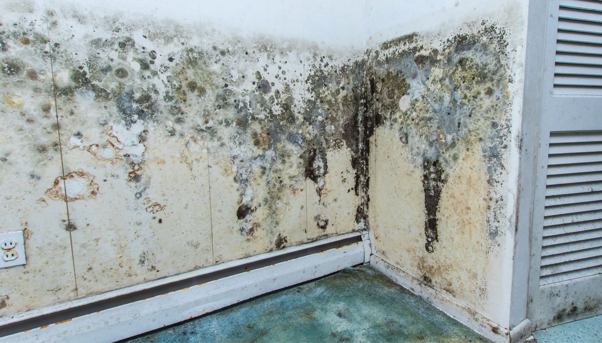 Professional mold removal, odor control, and water damage restoration service in The Villages, Florida.