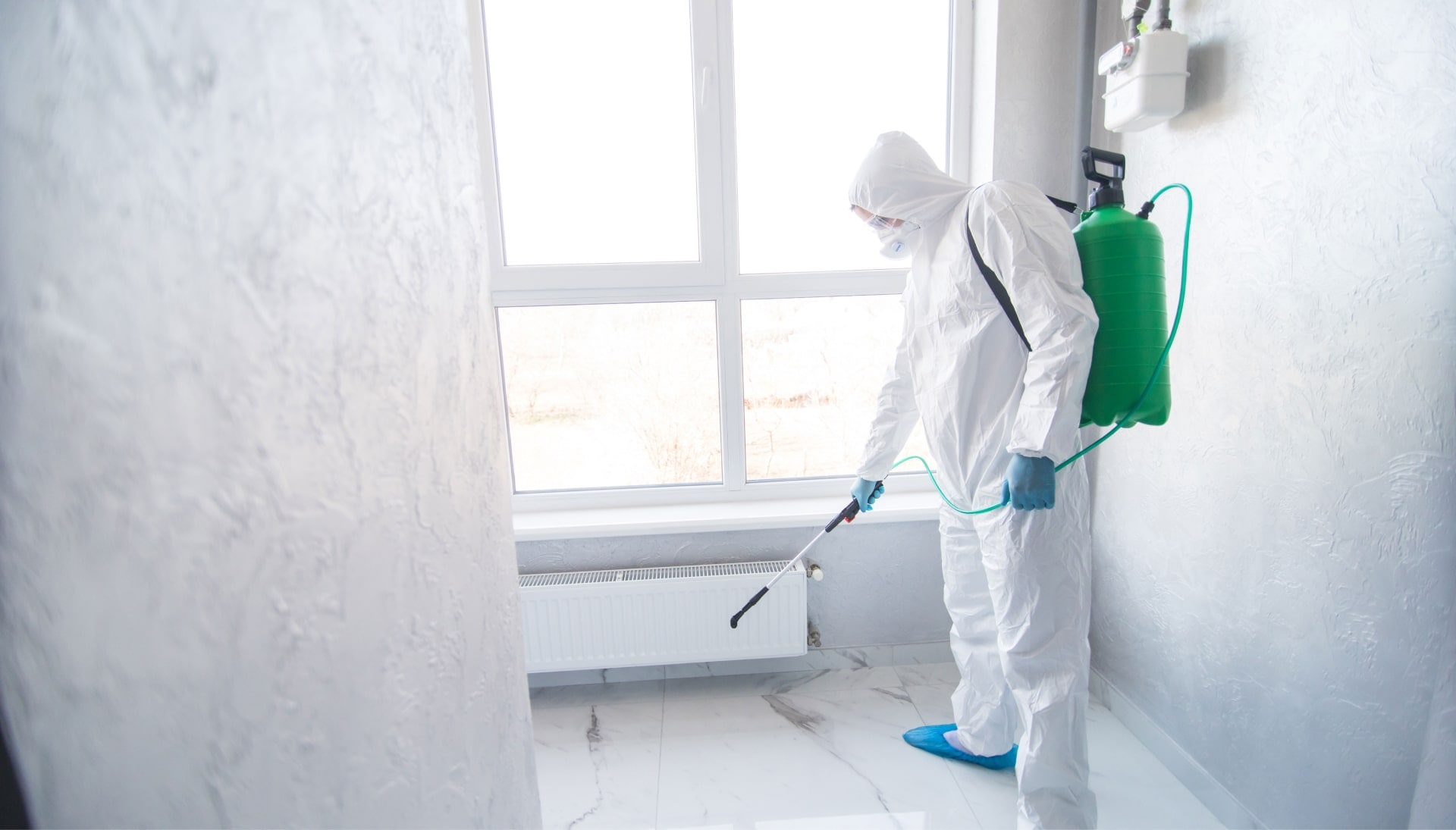 We provide the highest-quality mold inspection, testing, and removal services in the The Villages, Florida area.